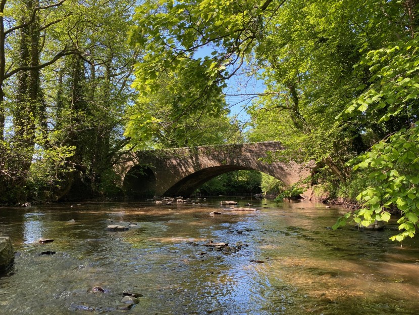 Monnow spring